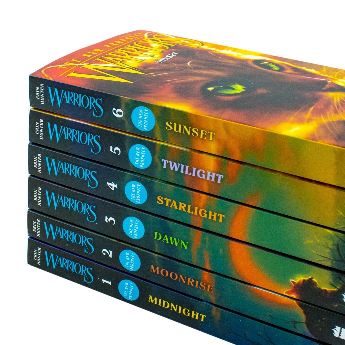 Warrior Cats Collection Erin Hunter 6 Books Set Pack The New