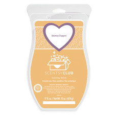 Skinny Dipping Scentsy Brink 17oz Wax Bricks Large READ FULL DESCRIPTION