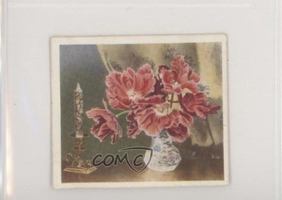 1937 Godfrey Phillips Flower Studies Tobacco Parrot Tulips #14 z6d
