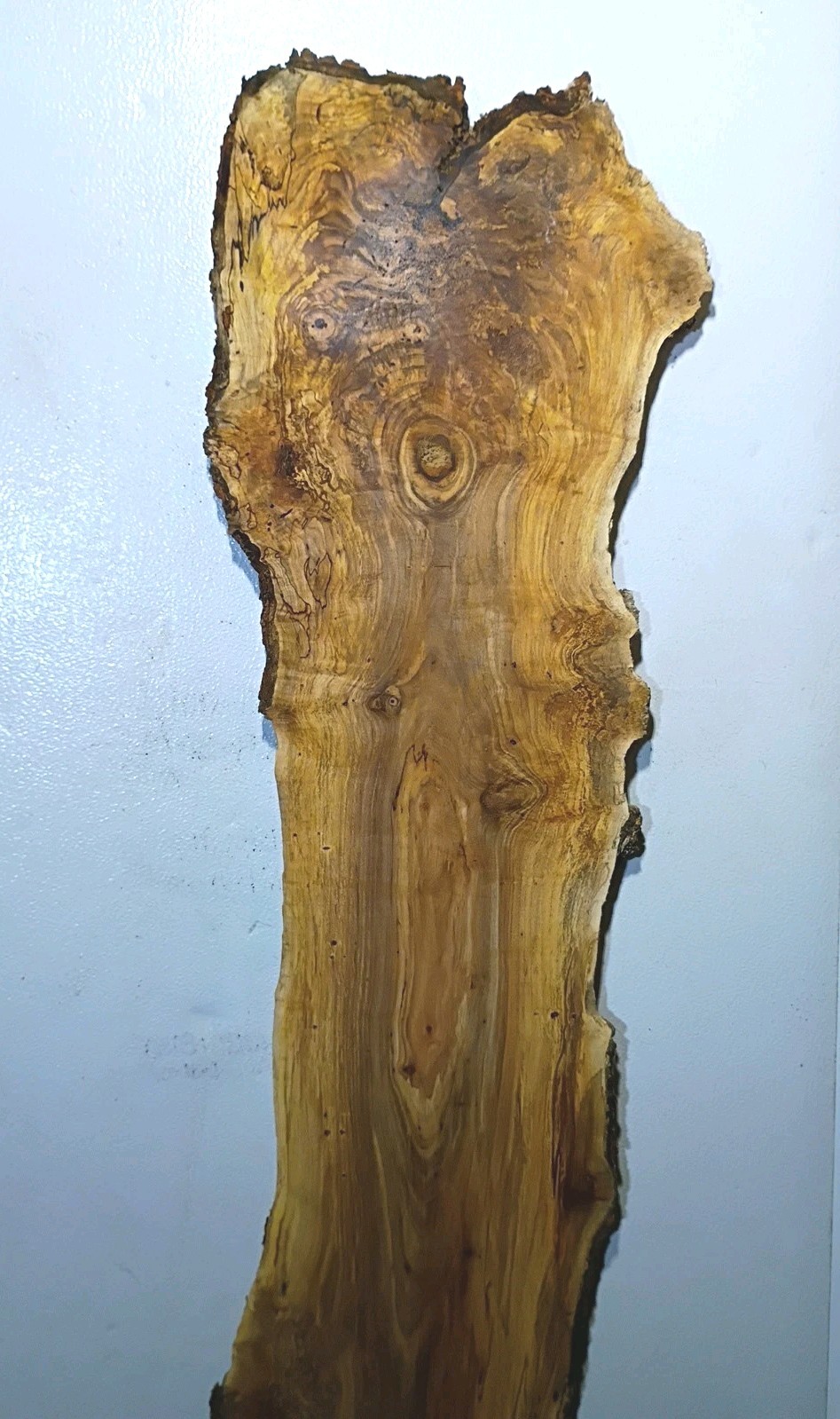 G801 Spalted Maple Burl Live Edge Slab Epoxy Project 66x15x1 1/2