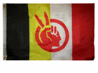 2x3 Ft American Indian Movement Flag Native American Rights Protest Banner AIM