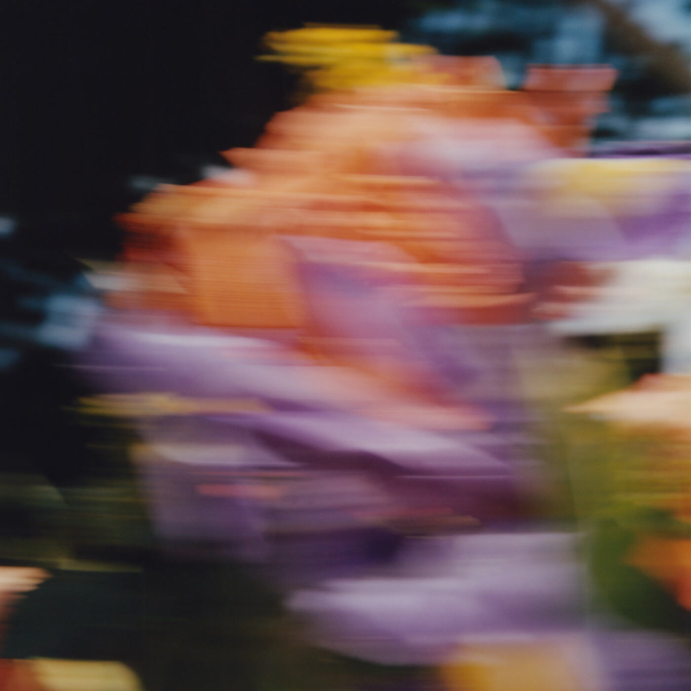 Catching Flies Tides (Vinyl LP) 12" Album