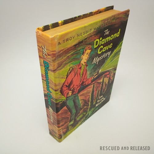 1964 The Diamond Cave Mystery by Troy Nesbit Hardcover Whitman Publishing