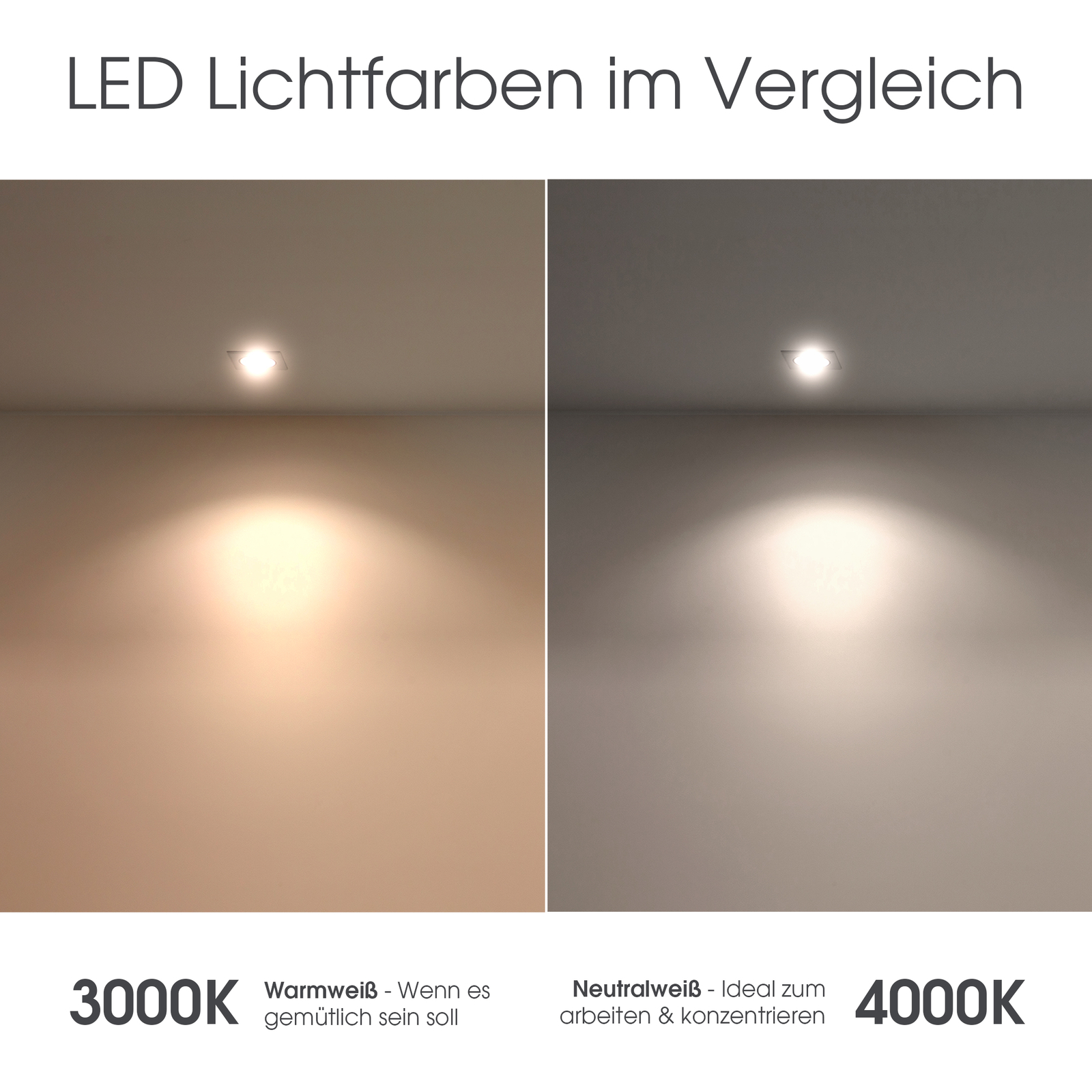 Bild 6 von 7