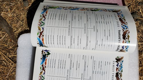 XmasLARGE HEILIGE BIBEL Pfarrausgabe Familie 94-95 vergoldetes Randleder NEU Zustand - Bild 8 von 12