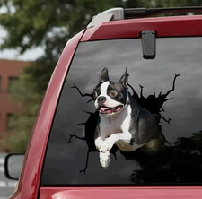 STICKER,Boston Terrier window stickeR,car sticker,Boston car decal,funny sticker