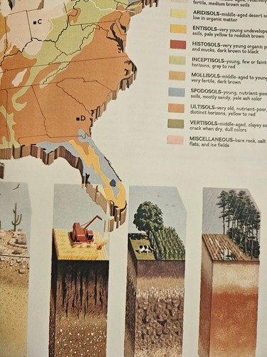 National Geographic September 1984 Seekuh Landwirtschaft Boden Staubschale Dallas - Bild 4 von 4