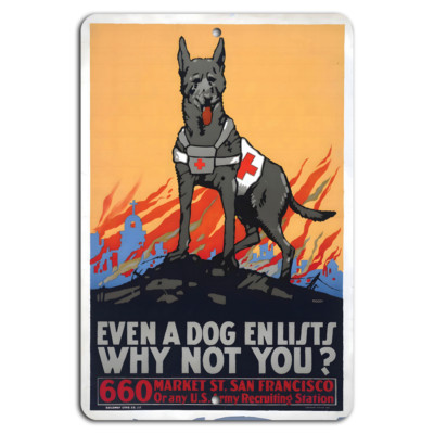 Join the Cause: Enlist Today Even a Dog Can!