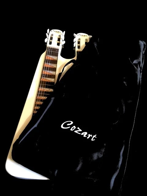 СОВЕРШЕННО НОВЫЙ ТВЕРДЫЙ 6/6 ДВОЙНОЙ ГРИФ ГАВАЙСКИЙ ЭЛЕКТРИЧЕСКИЙ LAP СТАЛИ ГИТАРЫ - Изображение 4 из 4