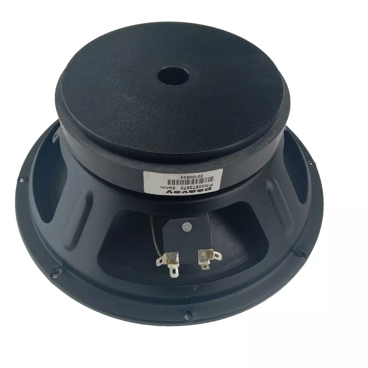 Peavey hotsell 10 speaker