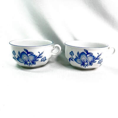 Winterling Porcelain Tea Coffee Cup Kirchenlamitz Bavaria Blue Florals Set of 2