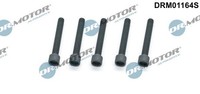 Schraube EinspritzdüSenhalter Drmotor Automotive DRM01164S FüR VW