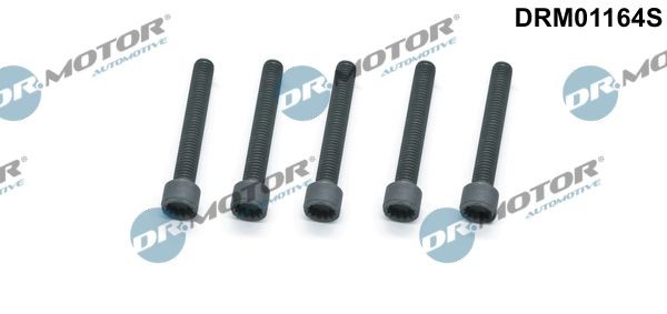 Schraube EinspritzdüSenhalter Drmotor Automotive DRM01164S FüR VW-image