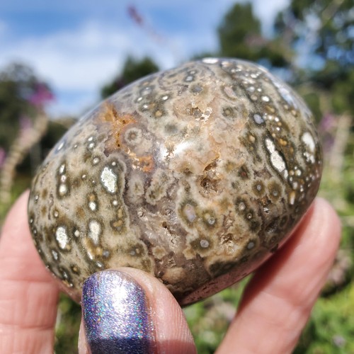 Kambaby Ocean Jasper Old Stock RARE Orbicular Freeform Palm Stone | 186 gram - Picture 6 of 9