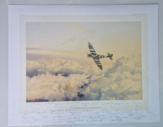 Wings of Glory Spitfire Robert Taylor Print Multi signed