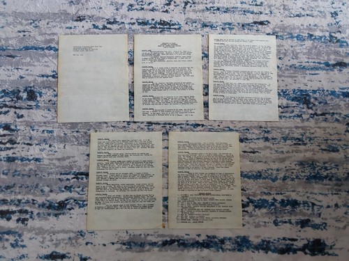 1943 WWII Battle of Attu Typed Captured Enemy Diary Translation Massacre Valley