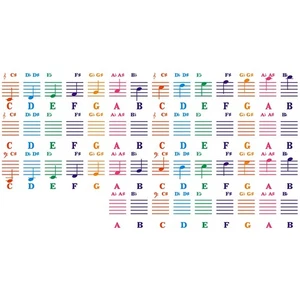 Sticker de piano Transparent Piano Sticking de clavier 49/54/61/88 Clé Electronic7100