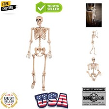 Pose-N-Stay Halloween Skeleton, 5 FT Life-Size, Realistic, Fully Poseable I...