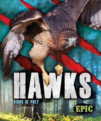 Hawks: Birds of Prey by Nathan Sommer   Hardcover Book   Library Binding