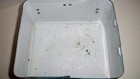 Picture 11 of 11