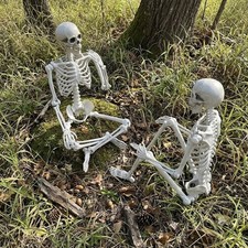 2 Pack 5.4FT Halloween Skeleton, Posable Full Body Bones Haunted Yard Prop Decor