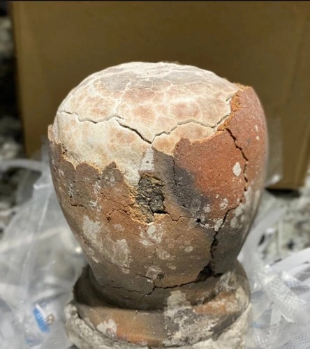 1.5kg Asin Tibuok Dino Egg Artisanal Coconut Sea Salt Bohol Philippines FAST - Picture 5 of 5
