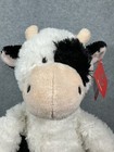 Bild 13 von 15