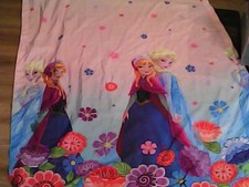 Frozen Curtain Panel