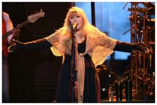 Stevie Nicks Poster 24x36 Inch Photo Rare Print Wall Art Print SN03