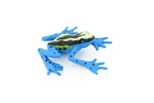 Blue Yellow Dyeing Dart Frog Plastic Toy Realistic Figure, Model  2.5" F4403