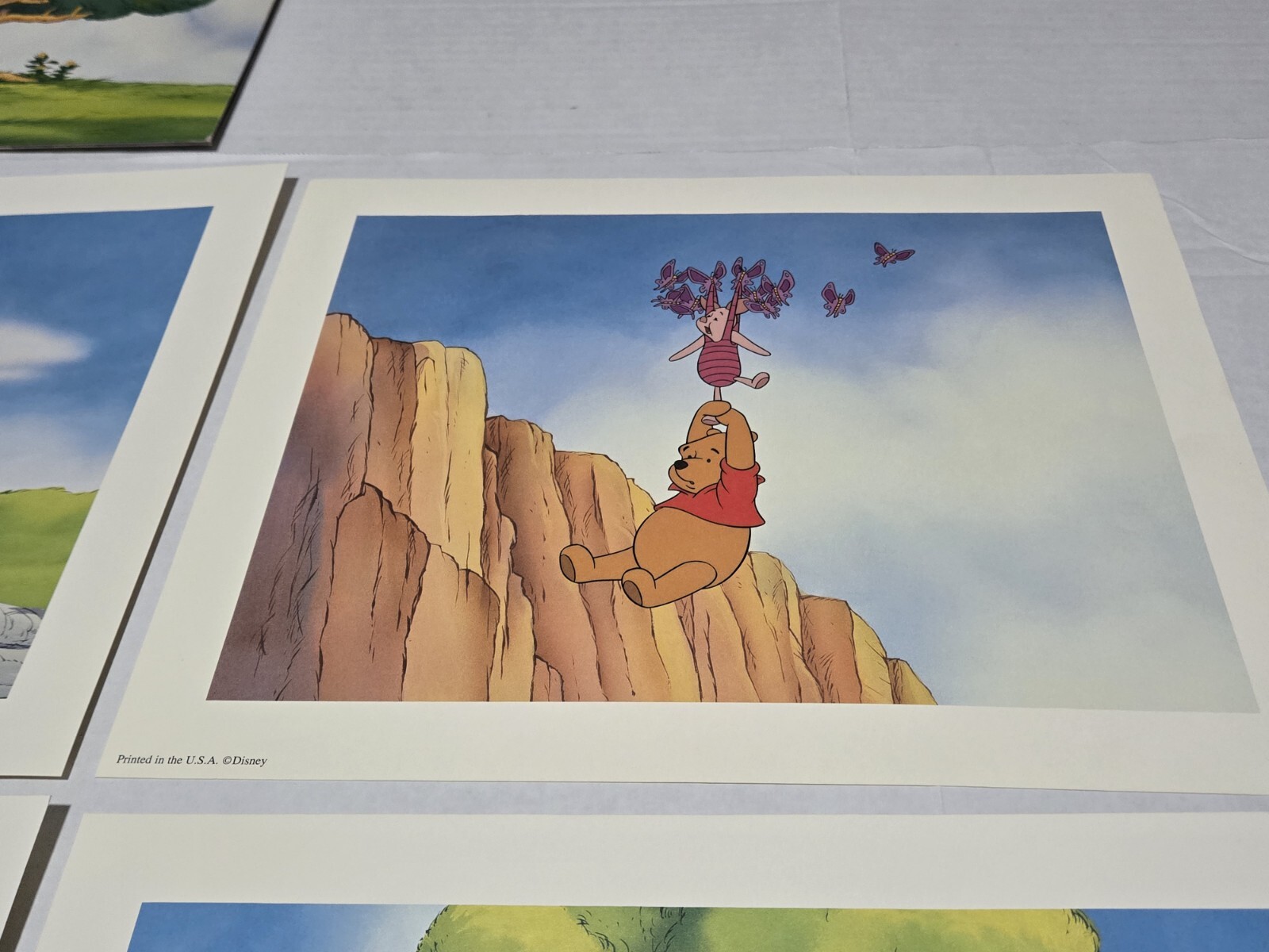 Picture 8 of 12