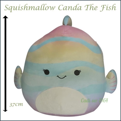 Squishmallows Fish Plush Canda The Rainbow Fish NEW 37cm Squishmallow Cushion - Picture 14 of 24