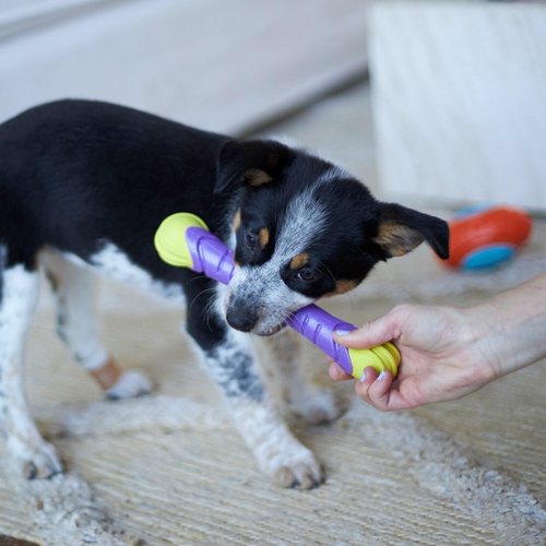 Extreme Play Chew Stick, Medium - Picture 5 of 10