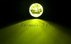 Bild 8 von 12