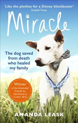 MIRACLE by Amanda Leask Paperback Self Help Business