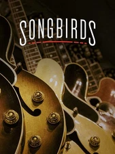 Songbirds (DVD) Joe Bonamass+CF37:CN37a John Schneider Vince Gill Marty Stuart