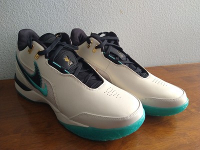 Size 10.5 - Nike Liverpool F.C. x Zoom LeBron NXXT Gen AMPD Light Orewood Washed