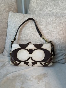 未使用保管品✨ Coach Carly Small Hand Bag Carly Coach | eBay