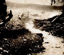 Huron National Forest spring High Banks Camp Au Sable River Hale Michigan RPPC