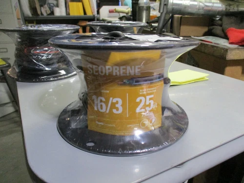 Southwire 25-ft., 16-AWG - 3, Black SJEOOW Power Cord