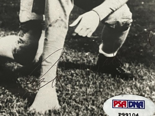 Foto autografiada de Ed Widseth 6 X 4 PSA/DNA Minnesota All American NY Giants - Imagen 2 de 10