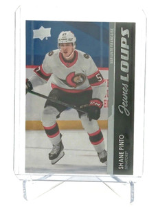2021-22 Upper Deck Series 1 Young Guns French Shane Pinto #246 Rookie