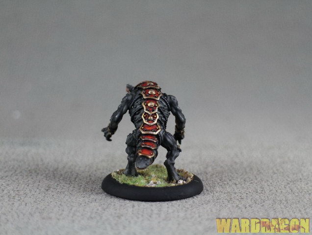 Picture 4 of 5