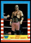 1987 Topps WWF Wrestling - Pick A Card