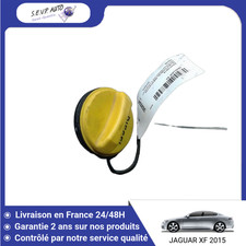 Carburateur Jaguar XF