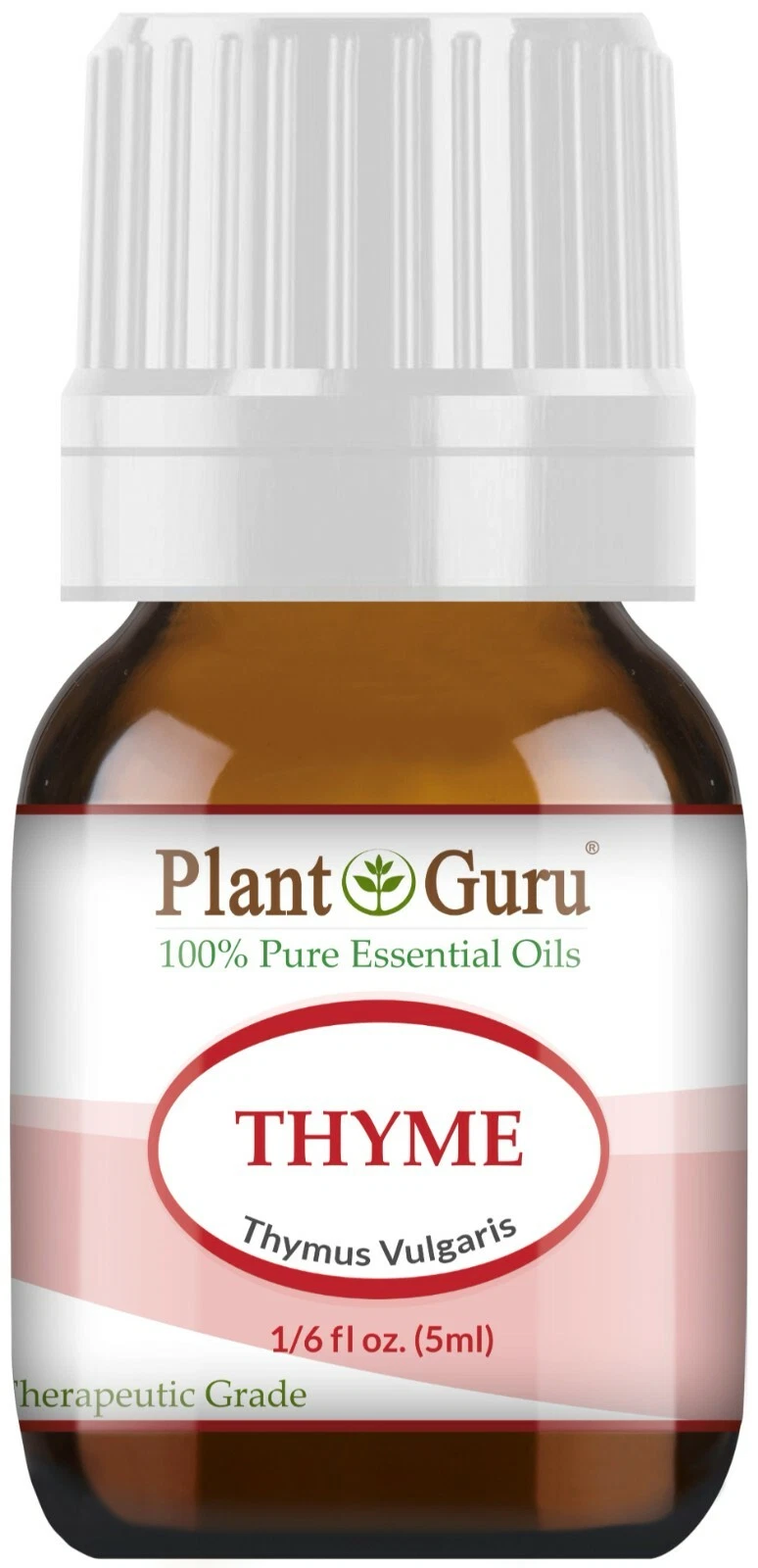 Thyme 