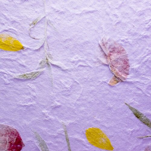 20x Mulberry Sheet Flowers of Pressed Purple Botanical Handmade Paper Book Craft - Bild 4 von 12
