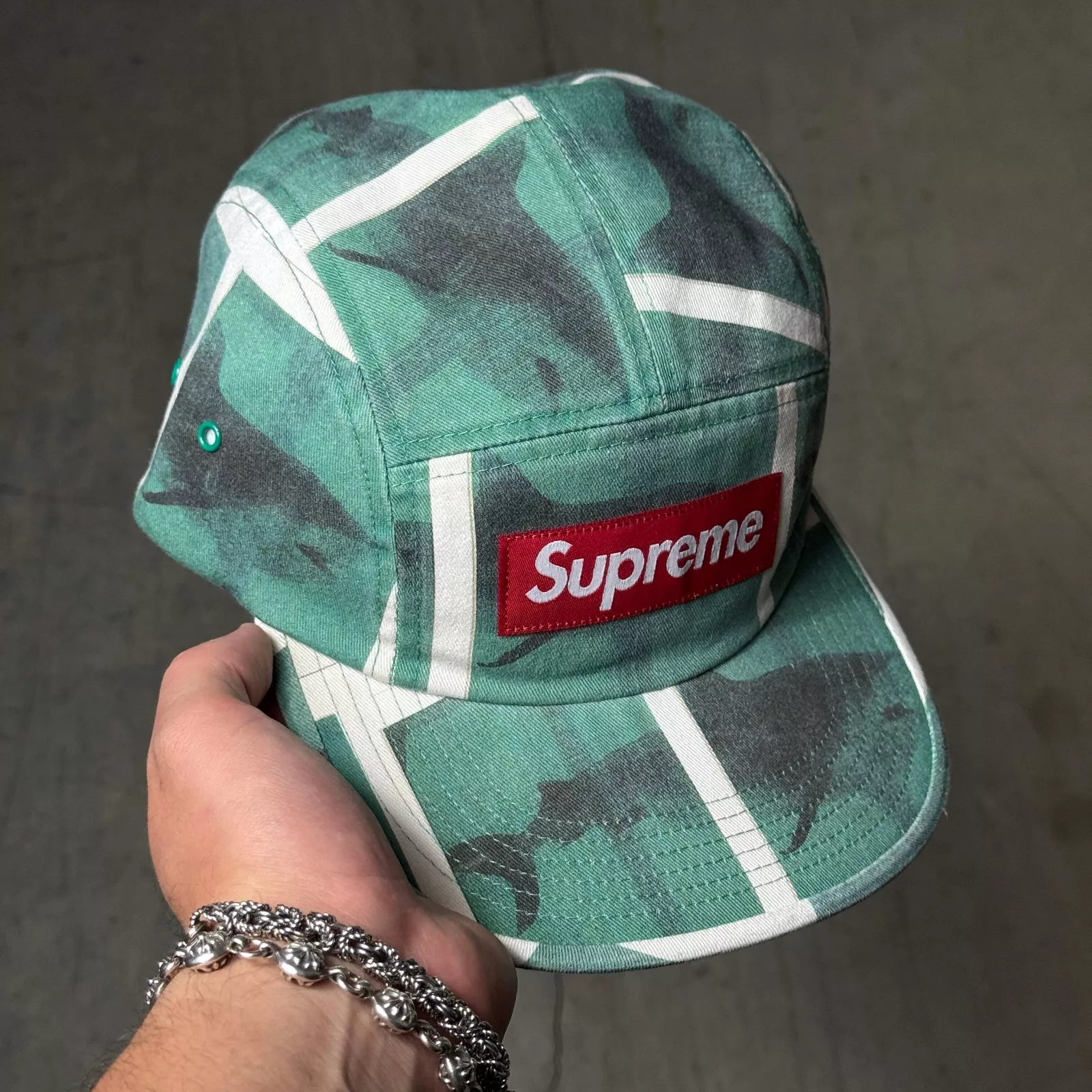 Casquette de camp Supreme Damien Hirst 5 panneaux skateboard