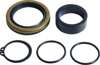 Wellendichtsatz - Kit Getriebeausgangswelle Counter Shaft Seal Kit Beta RR 2T 25