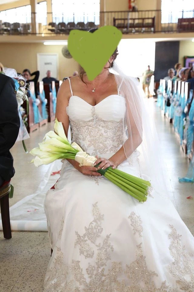 Alfred angelo sapphire clearance wedding dress